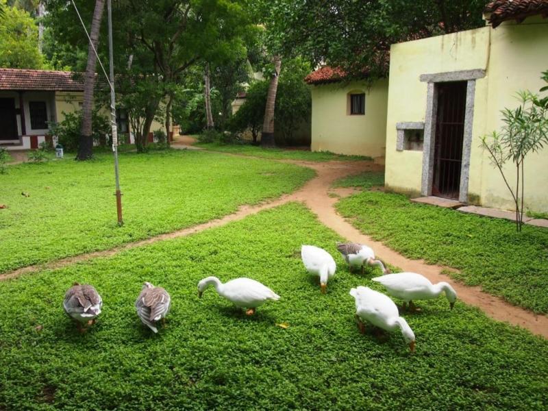 Indeco Hotels Swamimalai Kumbakonam Zewnętrze zdjęcie